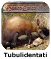 Tubulidentati